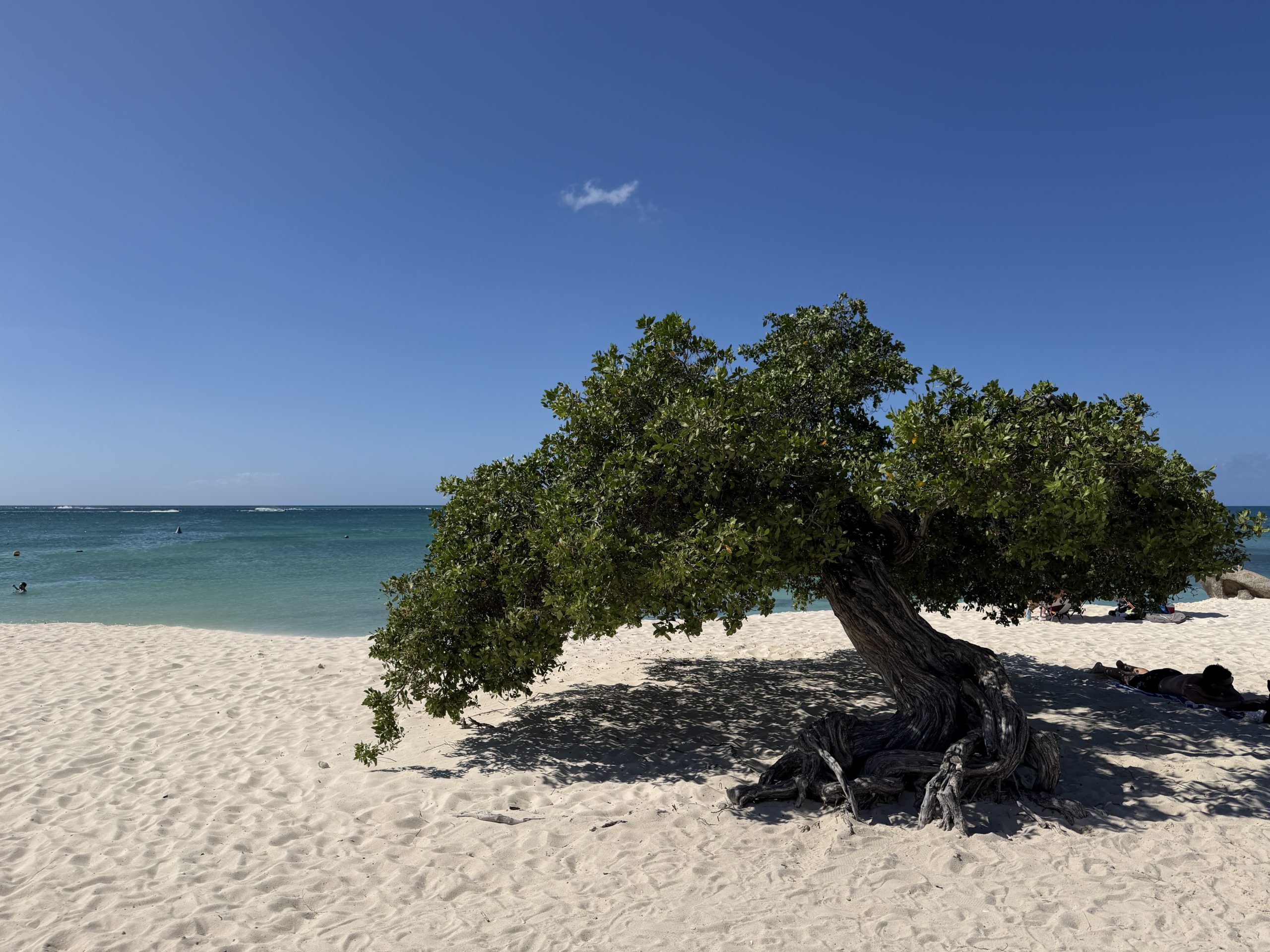 Aruba - Eagle Beach - One stop on my recent Virgin Voyage